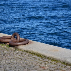 2017-04 Copenhagen/Havn/DSC_0263.JPG